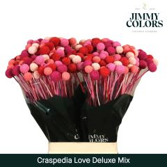 RK CRASPEDIA BARVENÁ PINK MIX