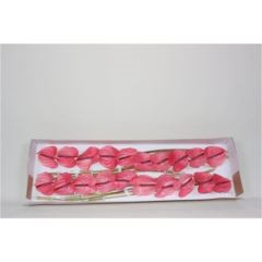 RK ANTURIE CANDY 20