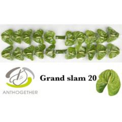 RK ANTURIE GRAND SLAM 20