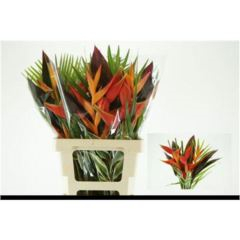 RK HELICONIE BOUQUET
