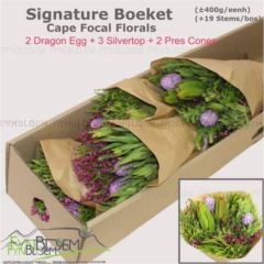 RK KAAPSGREEN BQ