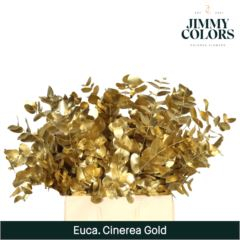 RK EUCAL.CINEREA MET.ZLATÁ