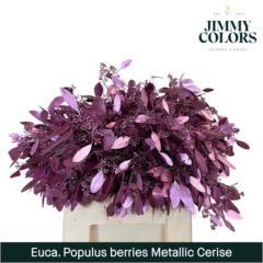 RK EUCAL.POPULUS BEEREN MET. CERISE