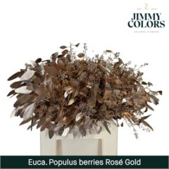 RK EUCAL.POPULUS BEEREN MET.BRONZ