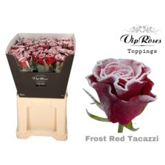 RK-RUŽE VH FROST RED TACAZZI