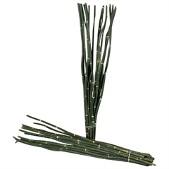 RK ZELEN BAMBUS (SNAKE GRASS)