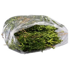 RK ZELEN BUXUS 5KG