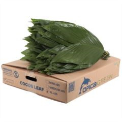 RK ZELEN COCOS LIST