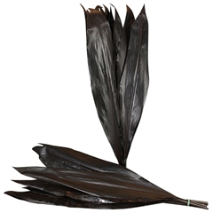 RK ZELEN CORDYLINE BLACK TIE