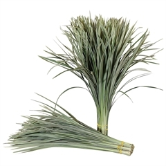 RK ZELEN T-GRASS