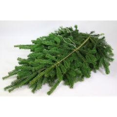 RK ZELEN CONIFERA NORDMAN CCA 5KG