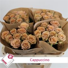 RK-RUŽE VH CAPPUCCINO 70