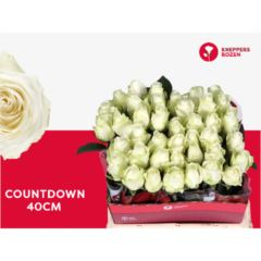 RK-RUŽE VH COUNTDOWN! 40