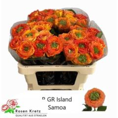 RK-RUŽE VH GREEN ISLAND SAMOA