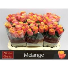 RK-RUŽE VH MELANGE 60