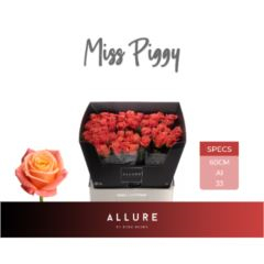 RK-RUŽE VH MISS PIGGY 60