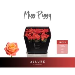 RK-RUŽE VH MISS PIGGY 70