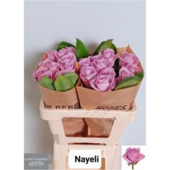 RK-RUŽE VH NAYELI 70 FIAL.
