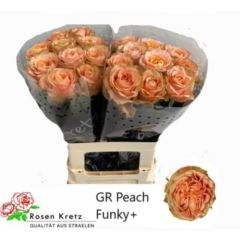 RK-RUŽE VH PEACH FUNKY