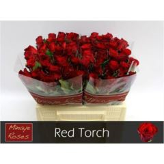 RK-RUŽE VH RED TORCH 40