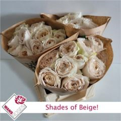 RK-RUŽE VH SHADES OF BEIGE 50
