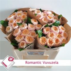 RK-RUŽE VH ROMANTIC VUVUZELA
