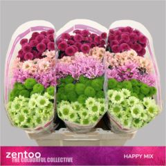 RK CHRYZANT. SANTINI HAPPY MIX