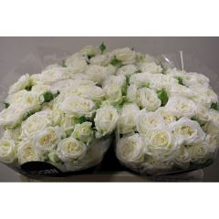 R TR BRIDAL FLOW