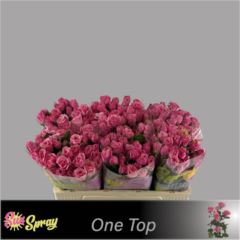 R TR ONE TOP