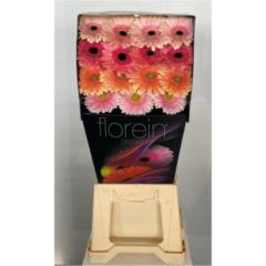 RK GERBERA PASTEL MIX