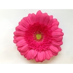 RK GERBERA RŮŽOVÁ SVĚTLÝ STŘED