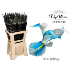 RK IRIS BARVENÝ MODRÝ