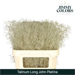 RK TALINUM BARVENÉ PLATINA
