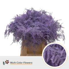 RK ZELEN PLUMOSUS 45CM BARVA MILKA