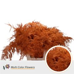 RK ZELEN PLUMOSUS BARVA 65 CM ORANŽOVÁ