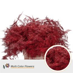 RK ZELEN PLUMOSUS BARVA 65 CM ČERVENÁ