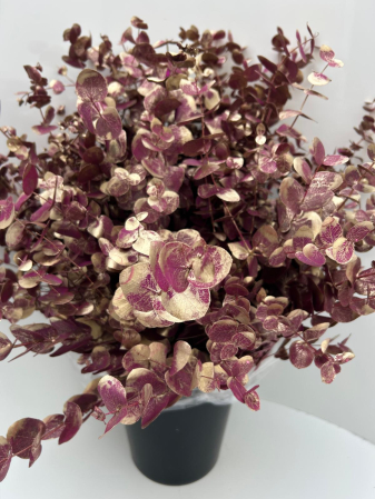 detail RK EUCAL.CINEREA MET. ANTIK CERISE