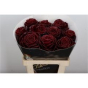 náhled RK BRASICA WAX BORDO