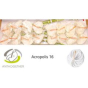náhled RK ANTURIE ACROPOLIS 16