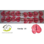 náhled RK ANTURIE CANDY 16