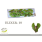 náhled RK ANTURIE ELIXER 10