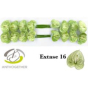 náhled RK ANTURIE EXTASE 16