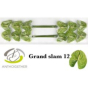 náhled RK ANTURIE GRAND SLAM 12