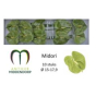 náhled RK ANTURIE MIDORI 10