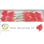 náhled RK ANTURIE PINK CHRISTINA 10