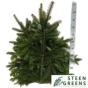 náhled RK ZELEN CONIFERA NOBILIS CCA 5KG ŽLUTÁ ŠŇŮRA DK