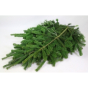 náhled RK ZELEN CONIFERA NORDMAN CCA 5KG