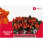 náhled RK-RUŽE VH ARANCIO 60