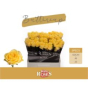 náhled RK-RUŽE VH BUTTERCUP 60