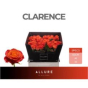 náhled RK-RUŽE VH CLARENCE 60